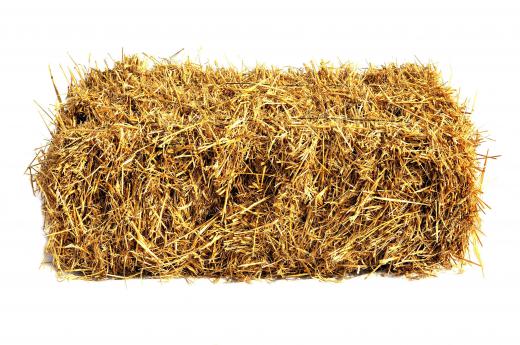 Mold can often grow in hay.