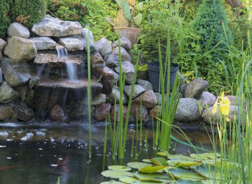 A pond edged with rocks.