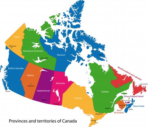 In Canada, the eastern white pine is found from southeastern Manitoba to Newfoundland.