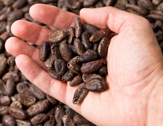 Cocoa bean mulch is made from the hulls of cocoa beans.