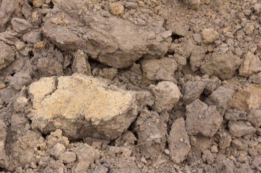 A gardening fork can help break up dirt clods.