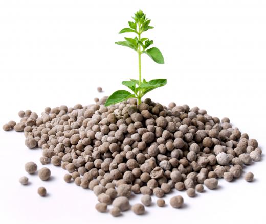 Bone meal can be used to produce fertilizer.