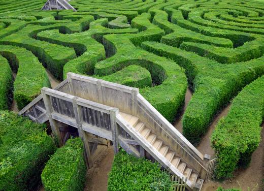 Topiary includes shaping hedges to form a maze.