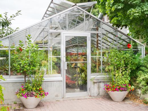 Greenhouse panels are usually made of glass or plastic to enable light to shine through.