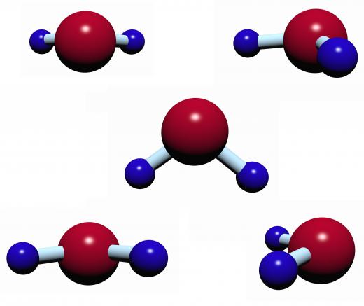 Water molecules are removed from freeze-dried roses.