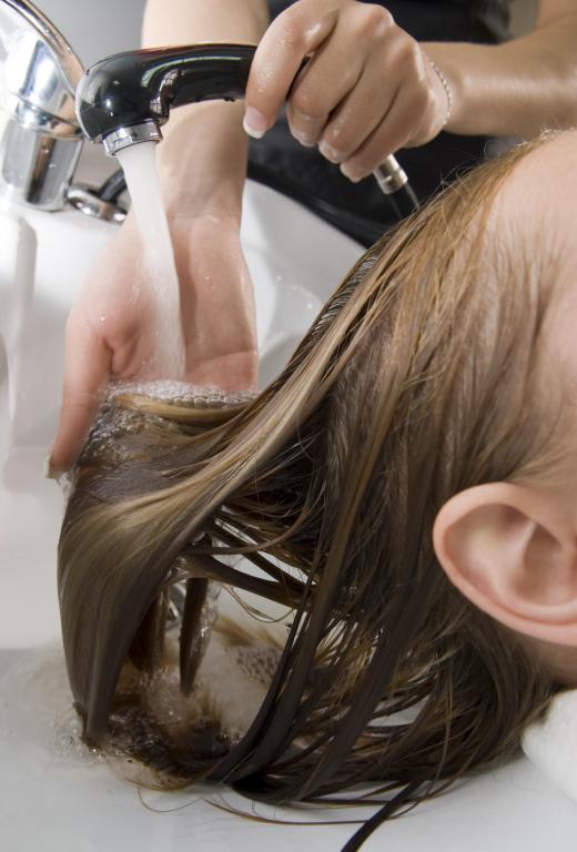 The hair trap can be one of several devices that can be employed to keep a tub or a sink from becoming filled with hair that then blocks drainage.