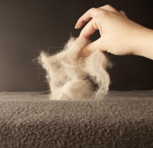 To keep pet hair from ruining the look of a velvet couch, place a large throw on the furniture.