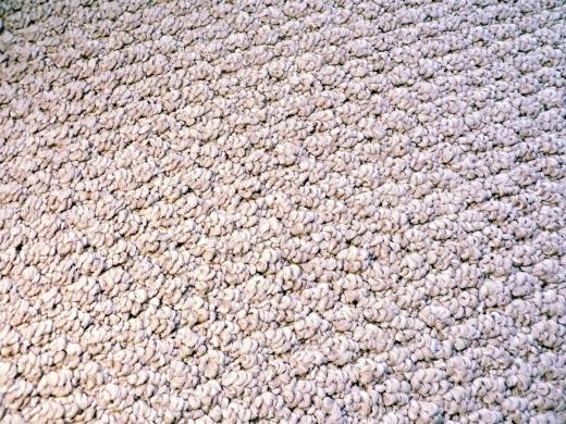 Berber is a popular example of loop pile carpet.