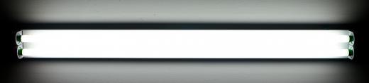 Fluorescent lights contain mercury.