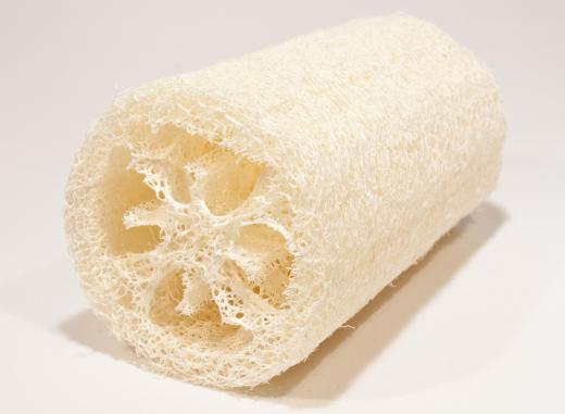 Loofah has been used for centuries for exfoliation purposes.