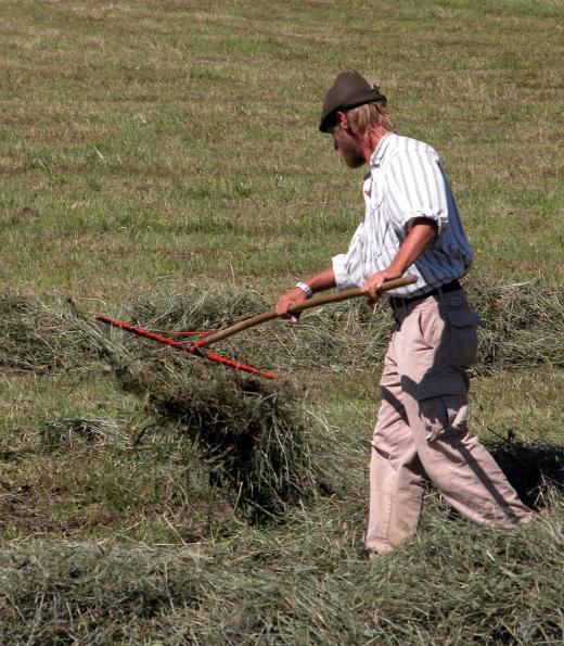 A dethatching rake is designed to break up and remove thatch.