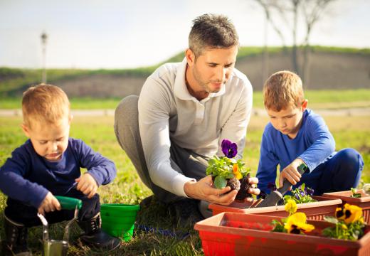 Worm tea is non-toxic and safe to use around children.