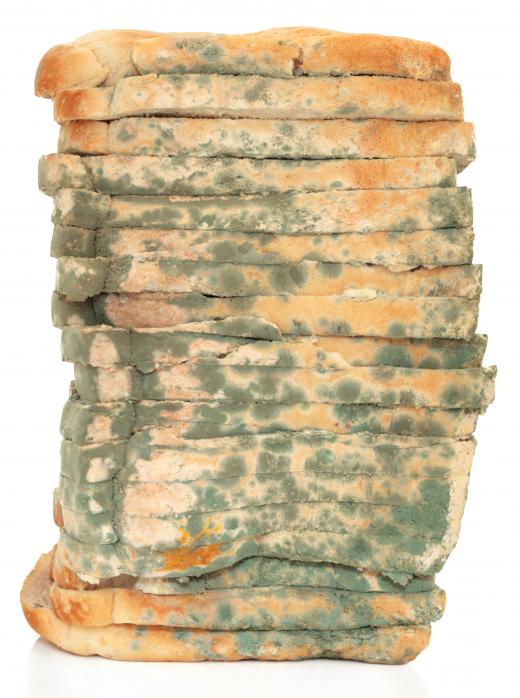 Moldy bread can be used to feed worms.