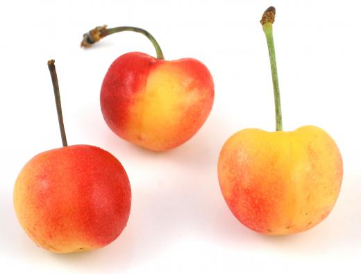 Cherries are grown commercially in orchards.