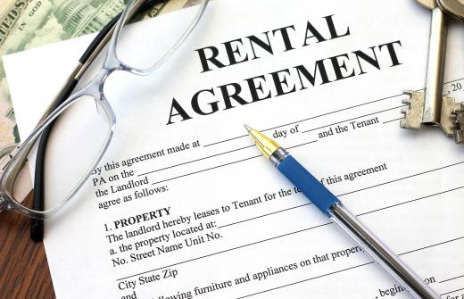 In some house shares, every member of the household is on the rental agreement.