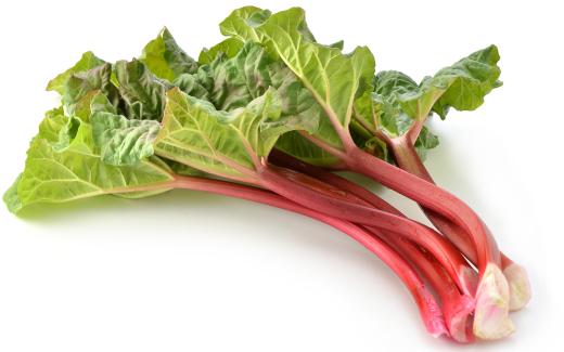 Rhubarb is a hearty plant that requires very little attention during the growing season.