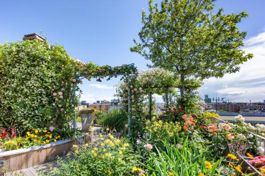 In some cases, a garden arch is set up in the center of a garden in order to create a focal point.