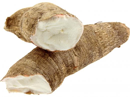 Cassava can be affected by bacterial leaf blight.