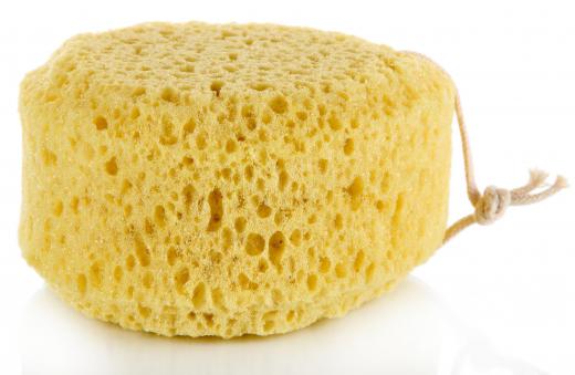 A sea sponge is the best tool to use when applying cleaning solutions onto windows.