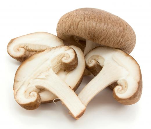 Shiitake mushrooms, a type of fungus.