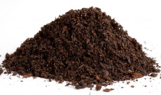 Compost and humus can be introduced into the soil to improve its ability to hold water.