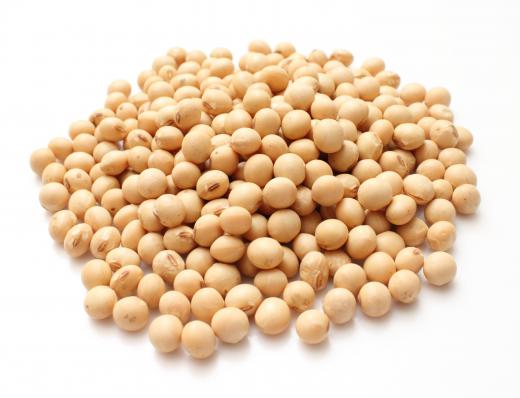 Soy beans.