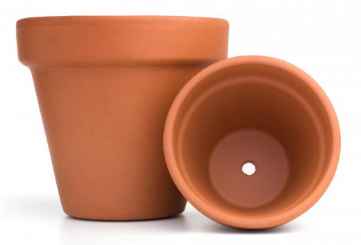 Terra cotta flower pots may be used inside.