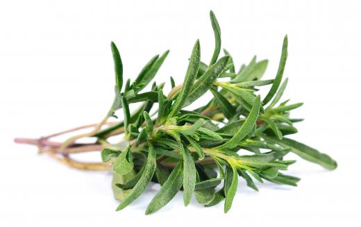 Thyme leaves may be used as a flavoring for stews.