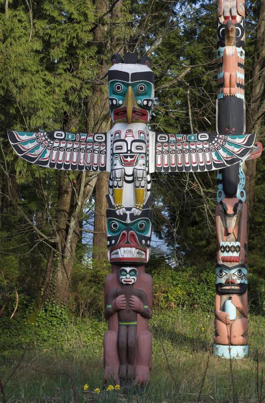 American Indian tribes often used cedar to make totem poles.