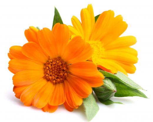 Marigolds may be used to make flower paper, which is another category of inclusion paper.